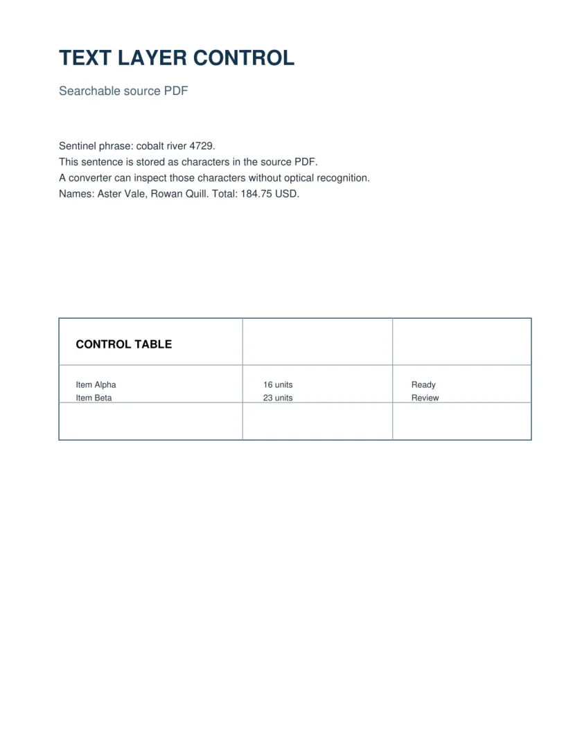 Rendered DOCX containing the scanned page as an image
